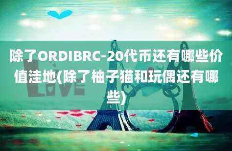 除了ORDIBRC-20代币还有哪些价值洼地(除了柚子猫和玩偶还有哪些)