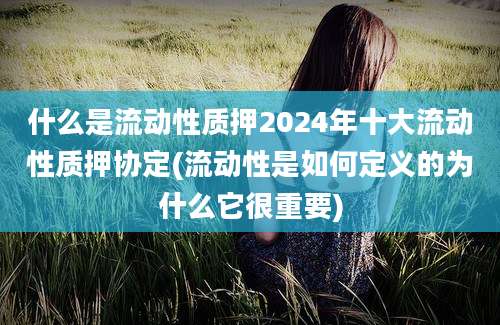 什么是流动性质押2024年十大流动性质押协定(流动性是如何定义的为什么它很重要)