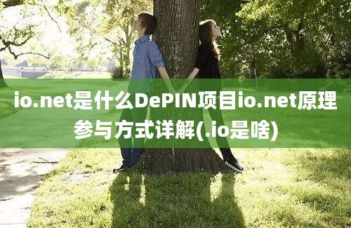 io.net是什么DePIN项目io.net原理参与方式详解(.io是啥)