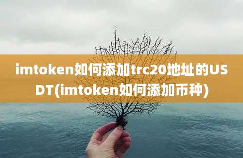 imtoken如何添加trc20地址的USDT(imtoken如何添加币种)