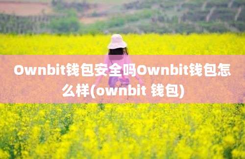 Ownbit钱包安全吗Ownbit钱包怎么样(ownbit 钱包)