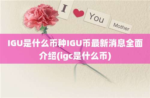 IGU是什么币种IGU币最新消息全面介绍(igc是什么币)