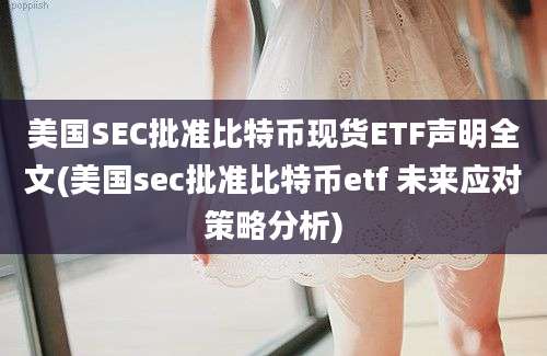 美国SEC批准比特币现货ETF声明全文(美国sec批准比特币etf 未来应对策略分析)