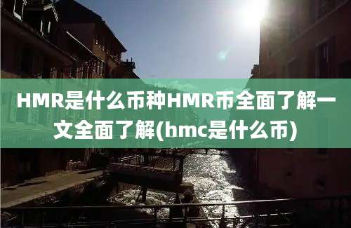 HMR是什么币种HMR币全面了解一文全面了解(hmc是什么币)