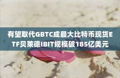 有望取代GBTC成最大比特币现货ETF贝莱德IBIT规模破185亿美元