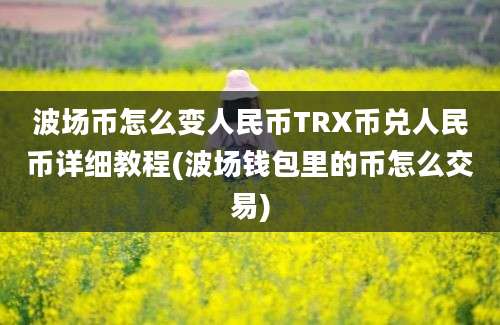 波场币怎么变人民币TRX币兑人民币详细教程(波场钱包里的币怎么交易)