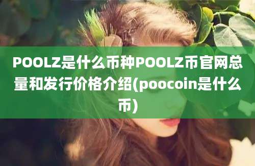 POOLZ是什么币种POOLZ币官网总量和发行价格介绍(poocoin是什么币)