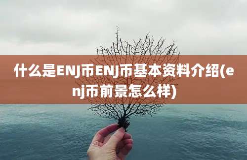 什么是ENJ币ENJ币基本资料介绍(enj币前景怎么样)