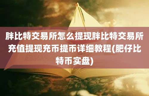 胖比特交易所怎么提现胖比特交易所充值提现充币提币详细教程(肥仔比特币实盘)