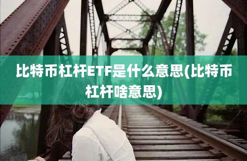 比特币杠杆ETF是什么意思(比特币杠杆啥意思)